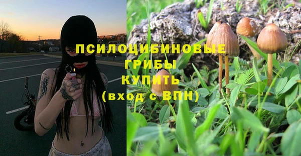 гашишное масло Медвежьегорск