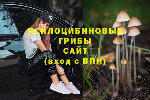 прущий лед Медногорск