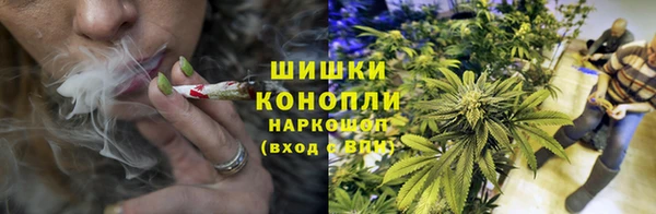 ПСИЛОЦИБИНОВЫЕ ГРИБЫ Артём