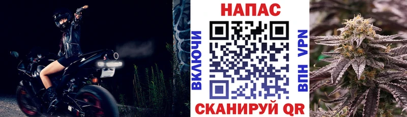 мориарти как зайти  Гдов  Шишки марихуана MAZAR  как найти наркотики 